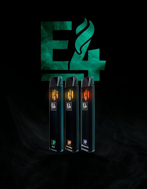 Diseño web con tienda online